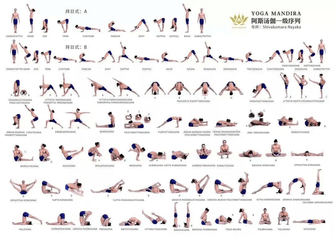 史上亚新体育最全 13个经典瑜伽流派体式序列图及简介瑜伽人赶紧收藏！(图3)