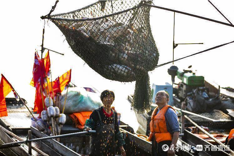 壹图集丨东平湖开渔!渔船满载而归,鱼虾螃蟹"安排!_齐鲁_黄河_市场