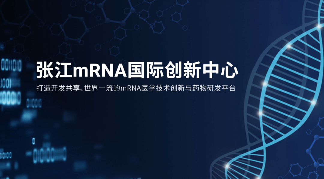 林金钟教授自2020年2月即联合蓝鹊生物等开始研制mrna新冠疫苗,并很快