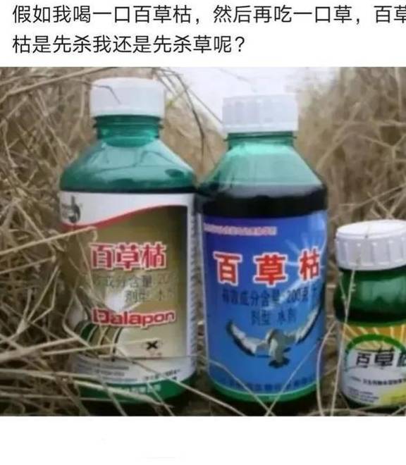 原创
爆笑神评:北京四合院和上海汤臣一品,你会选哪个?神评牛气