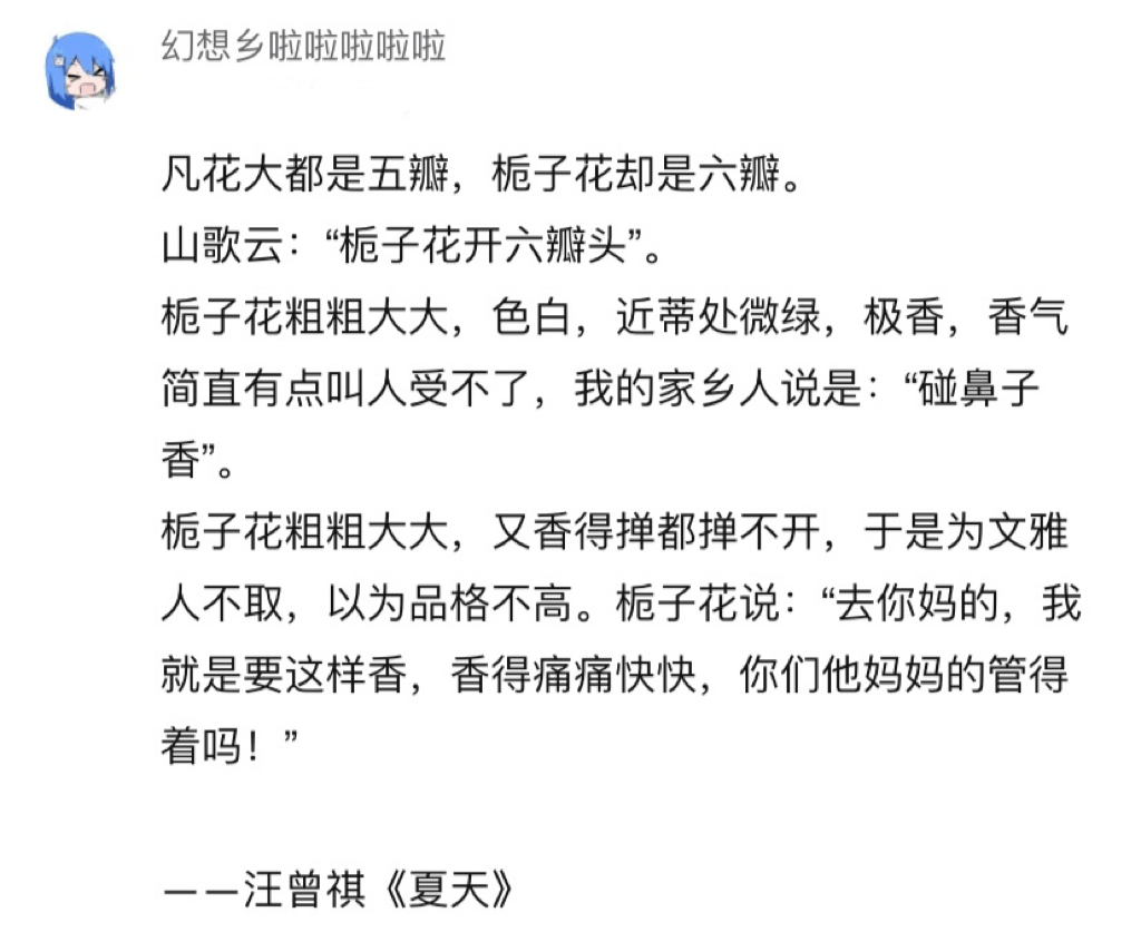▼07虎头鲨汆汤,鱼肉极细嫩,松而不散,汤味极鲜,开胃.