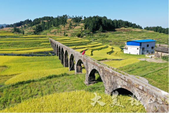 【大美独山】独山:秋来高岩美如画_梯田_麻万镇_乡村