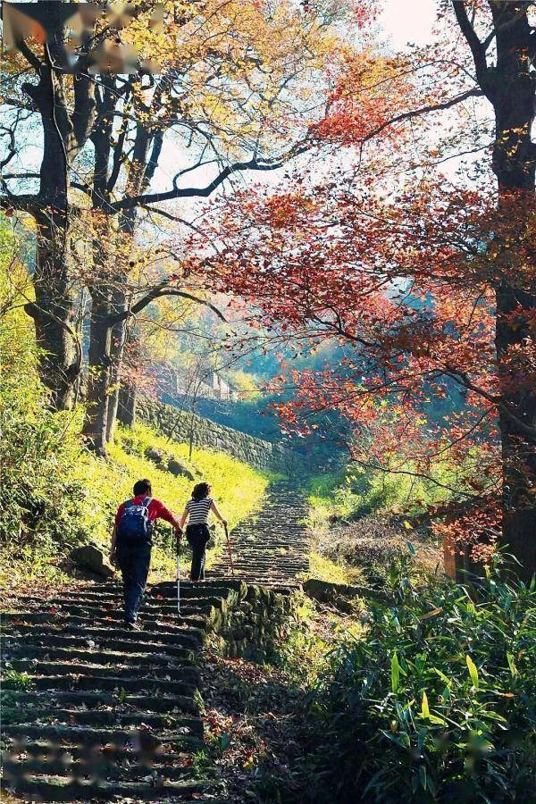 浙江6条适合初秋徒步的古道，有你走过的吗？