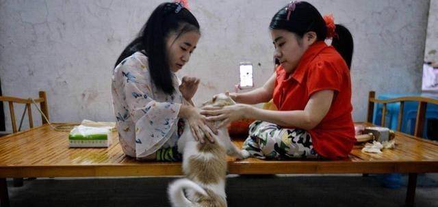 重庆妈妈连生3个"盆栽娃娃,拼命生下四胎后,丈夫
