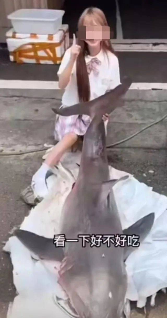 网红烹食大白鲨后续：花数千元从渔民处转手购得，两人被批捕