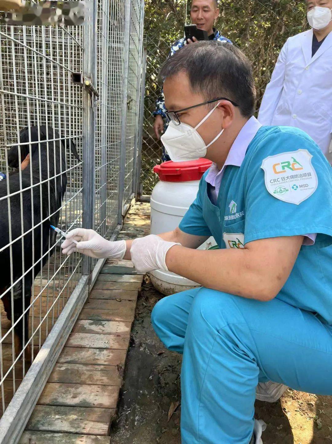 为流浪动物注射狂犬疫苗,阻断