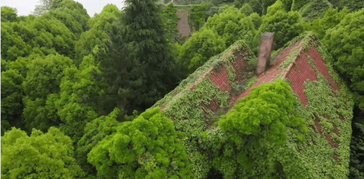 贵阳城郊废弃别墅群，环境优美全是独栋，长满荒草倍感荒凉