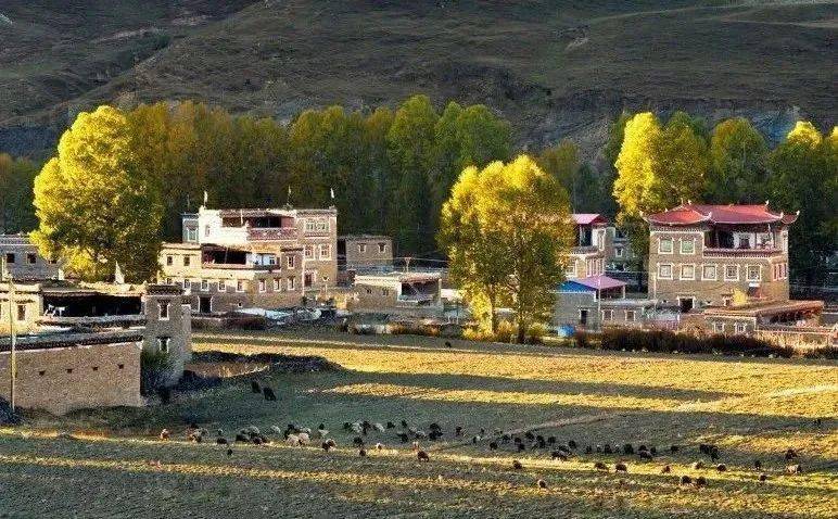 ��ȫ����ļ�����㴨��֮�����Ƕ����뿨�������﹵�������� ...