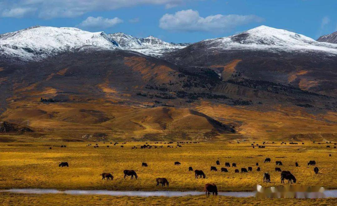 ��ȫ����ļ�����㴨��֮�����Ƕ����뿨�������﹵�������� ...