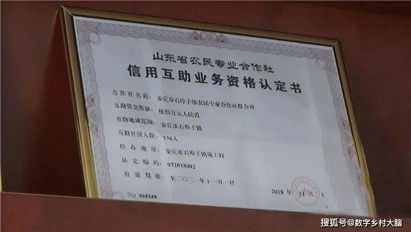 作社将农村资金互助会在全省推广。六、老六，农民合作社信用互助业务。