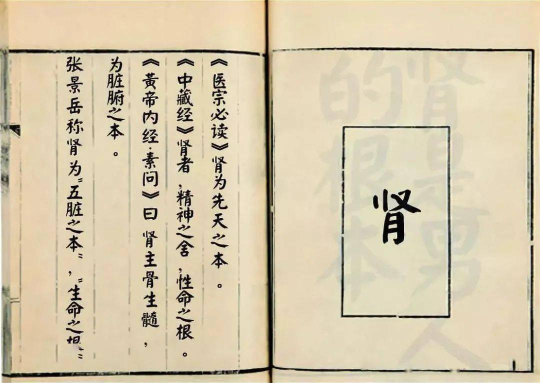 之本_肾气_身体