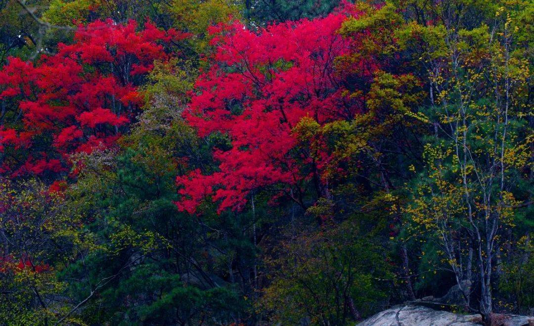 河南旅游：尧山不墨千秋画