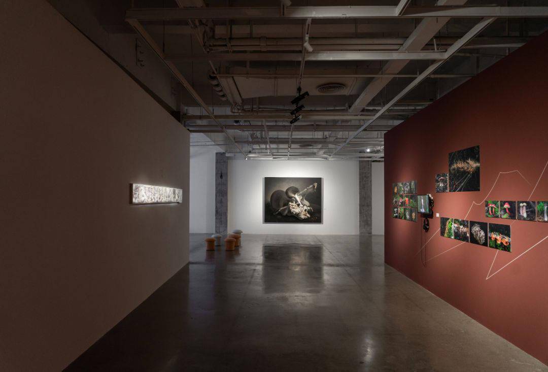 �����죺�����˶Ծ��ӵ����������Ӧ���á��ж���������