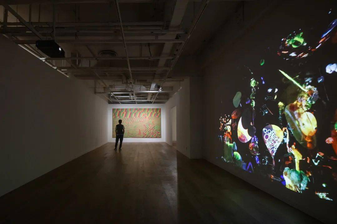 �����죺�����˶Ծ��ӵ����������Ӧ���á��ж���������