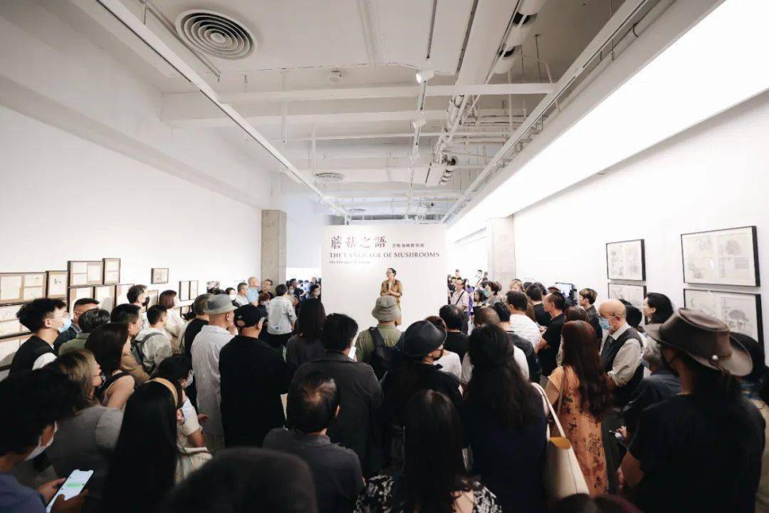 �����죺�����˶Ծ��ӵ����������Ӧ���á��ж���������