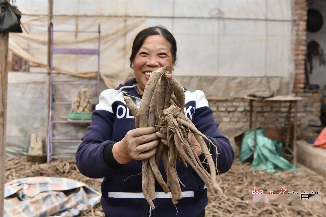 兰州深沟掌村：产业突破实现致富梦