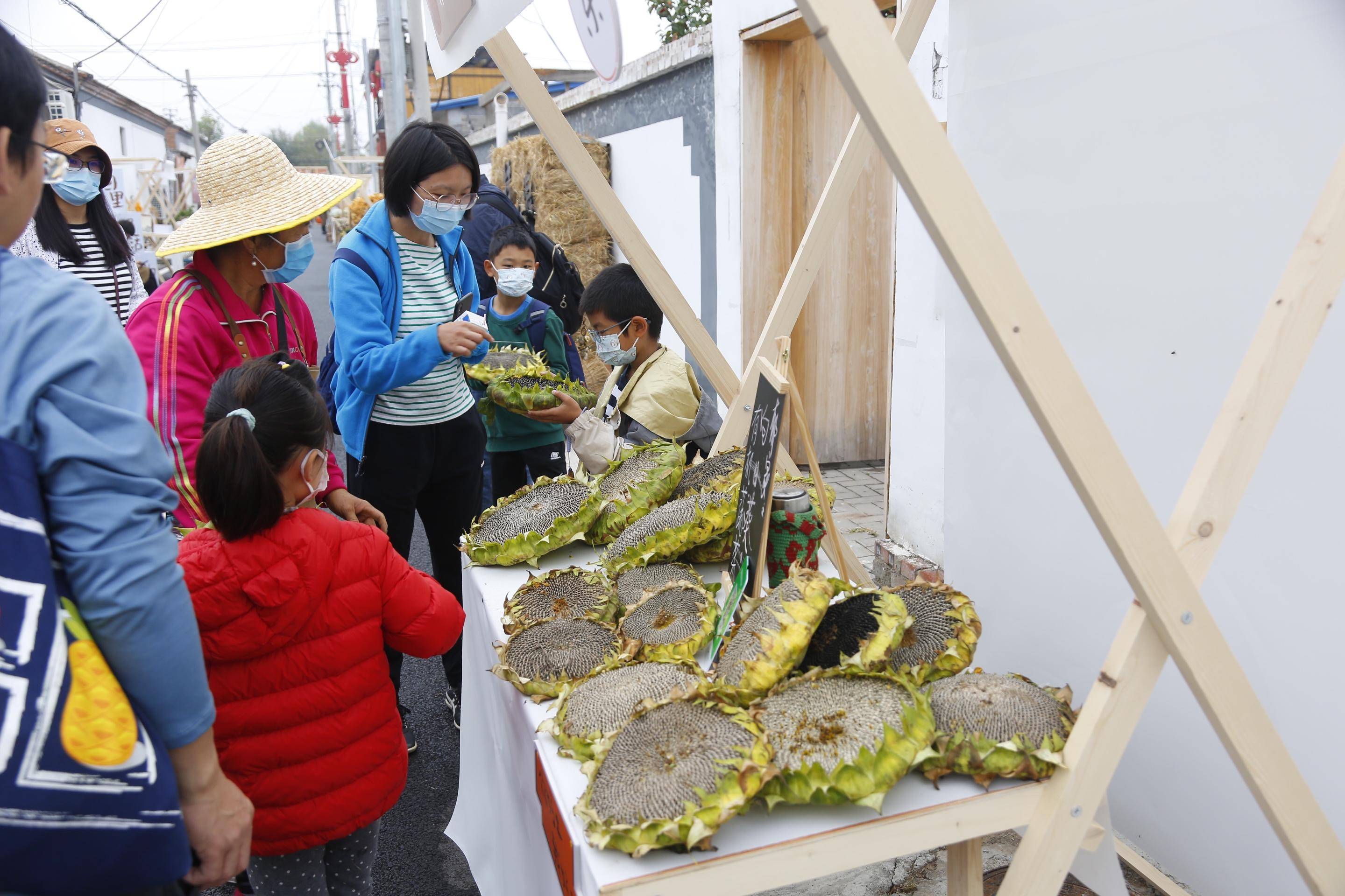 手编竹篮、玉米脱粒、剪葡萄……冬奥小镇民宿村办起丰收市集