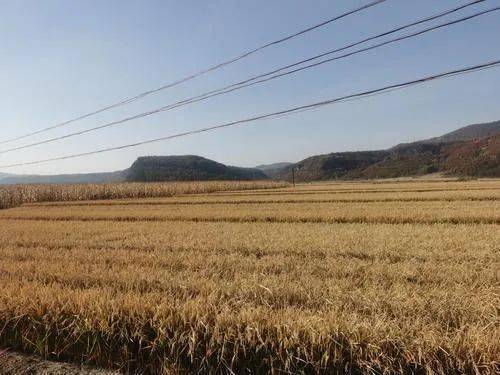 喜迎二十大 在希望的田野上｜古城村“新”面貌