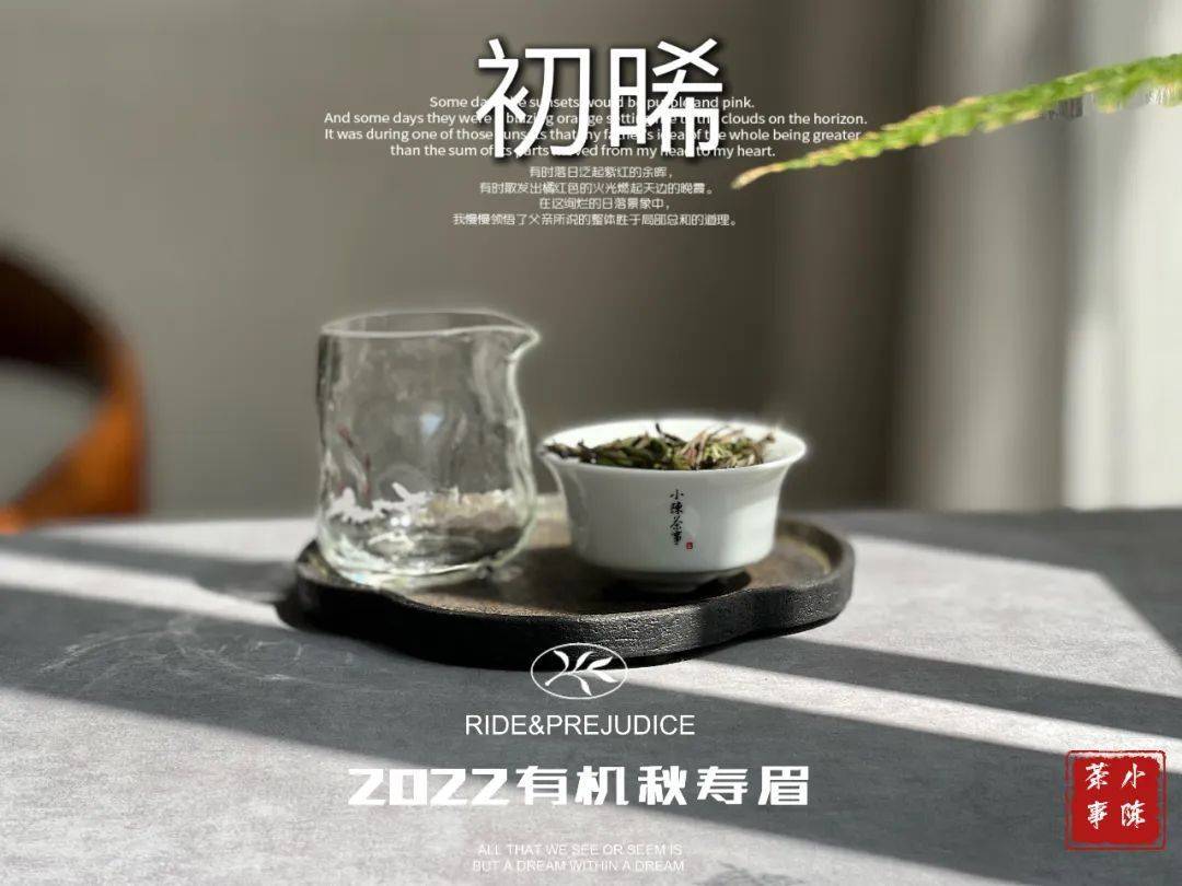 春白茶的清透,秋白茶的馥郁,2022有机秋寿眉这一杯