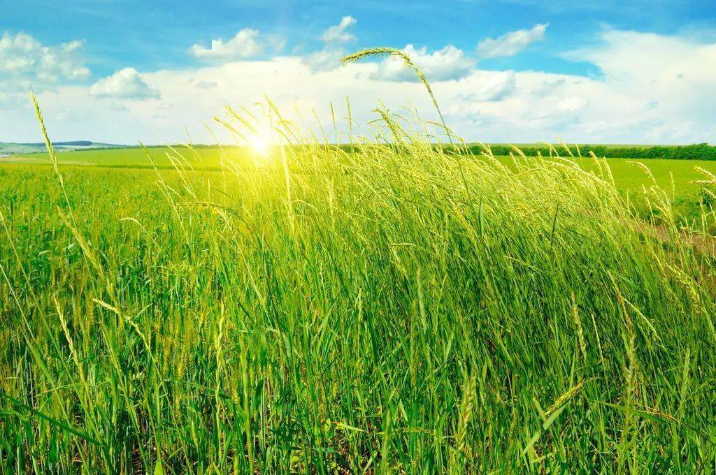 100λŵ������ѧ���޽���100����������