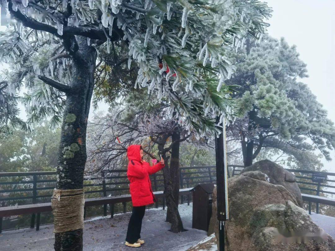 下雪了！下雪了！淅川接下来......