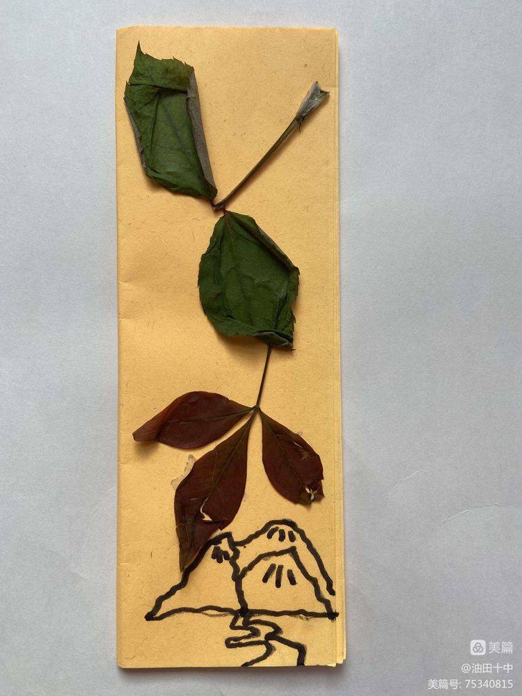 落叶书签 来自搜狐网