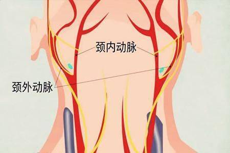广州助孕中心（广州哪家医院能看好自闭症？）