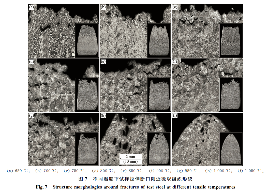 ���¿�������κ�����������������ֵָ������������ɻ��� ...