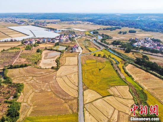 金秋时节航拍江西南昌农村公路穿越秀美田园