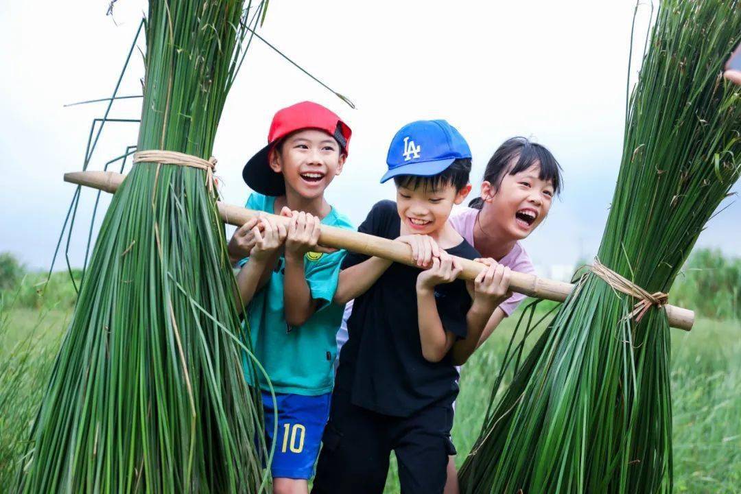 沙田这十年:突出疍家,龙舟,莞草"三大特色"深入推动