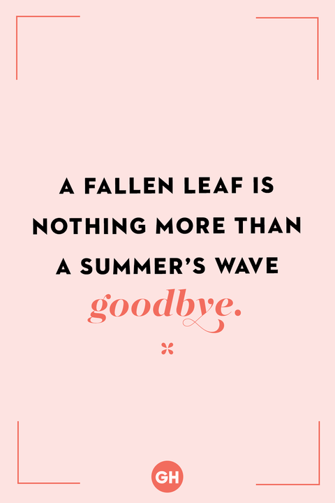 未知a fallen leaf is nothing more than a summer's wave goodbye