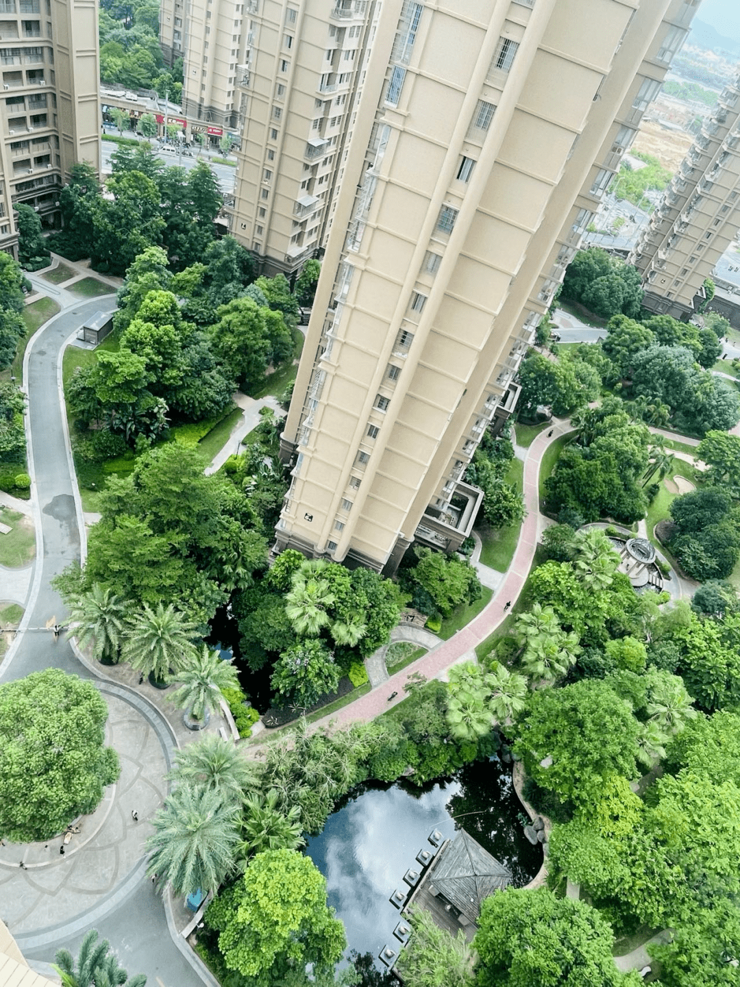 芗城区第一届“最美小区”展播（第一期）