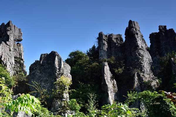 俞天白：石情石语——“行走天地之中”之二十三