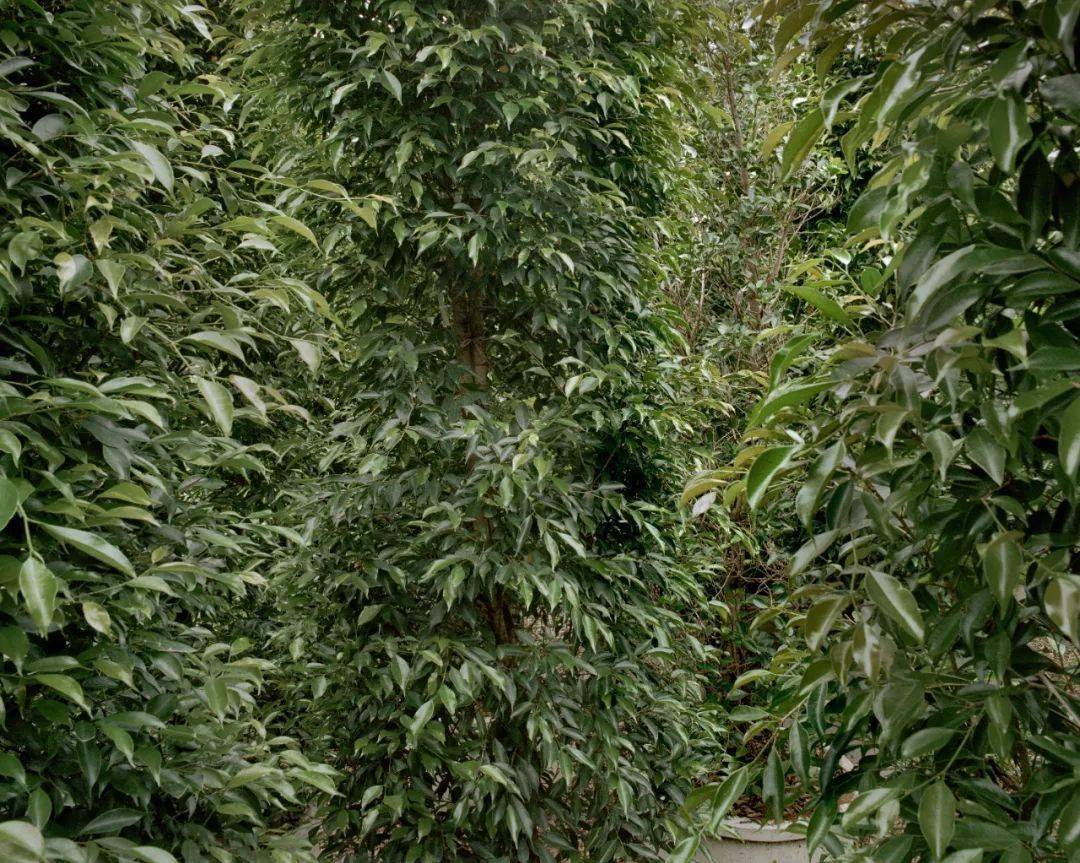 �ھŽ���Ϲ�����Ӱ˫��չ��Ʒ�������䡢�¼��¸�У��