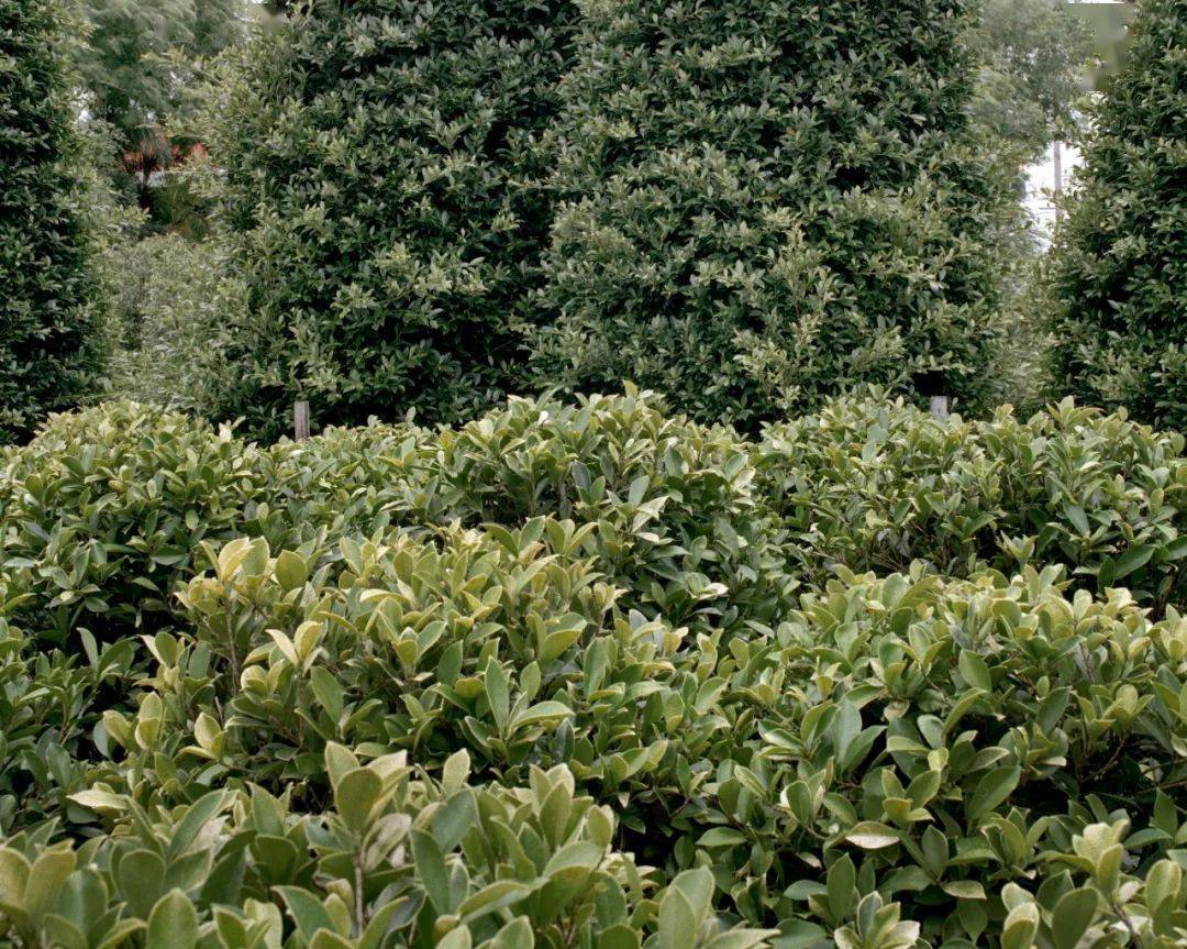 �ھŽ���Ϲ�����Ӱ˫��չ��Ʒ�������䡢�¼��¸�У��