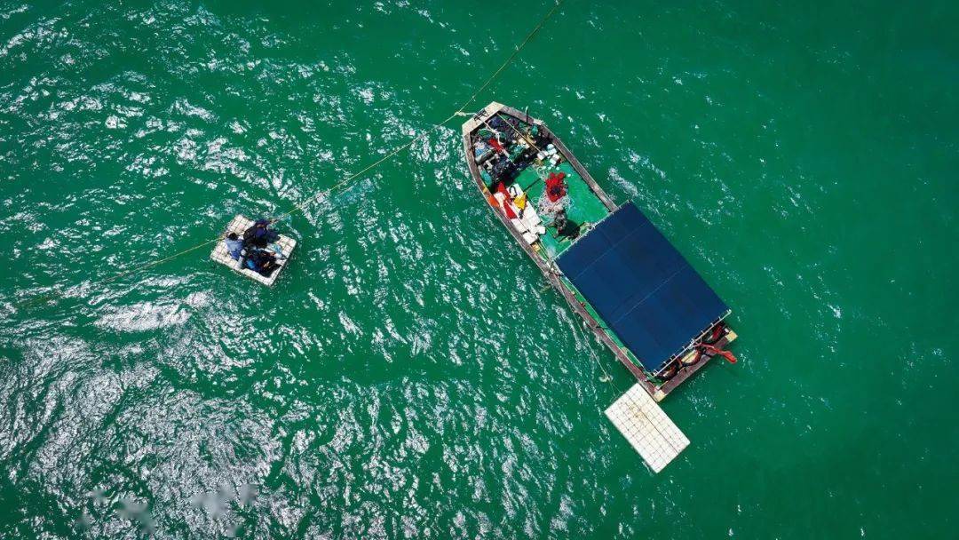 海南南海热带海洋研究所所长陈宏(左一)换上潜水服准备下水开展珊瑚