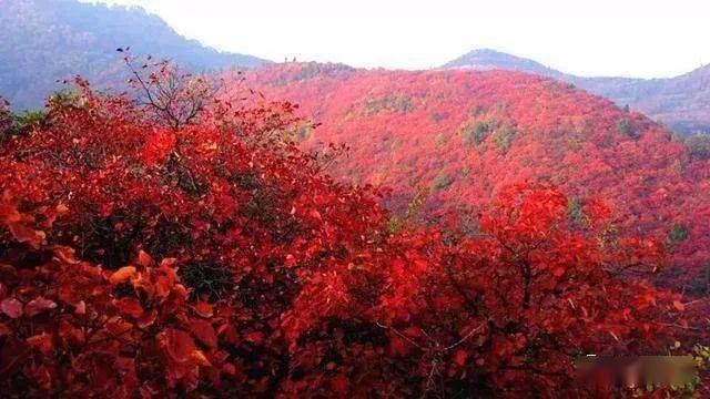 范仲淹 | 塞下秋来风景异，衡阳雁去无留意