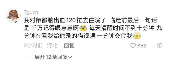 周三快乐鸭！