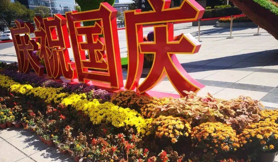 芜湖如今繁花似锦，曾经的“市花”你还记得吗？