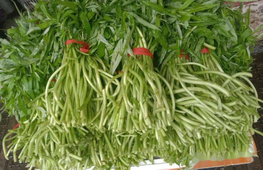 泥蒿莲藕抢鲜上市，湖乡秋冬地道风物走向市民餐桌