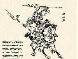 此人乃是抗金名将杨再兴的儿子,虎父无犬子,其武艺青出于蓝而胜于蓝