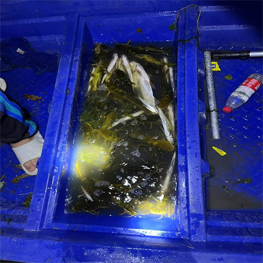 进口吸鱼机8-10米 船用24-48v深水吸鱼机头_池塘_水面_老师傅