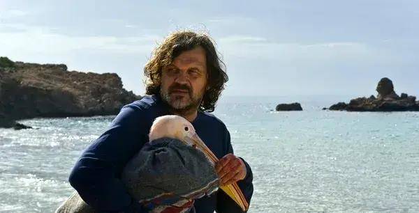 10���������ݵĵ�Ӱ��С���ѵ�Ц����ĺ�����