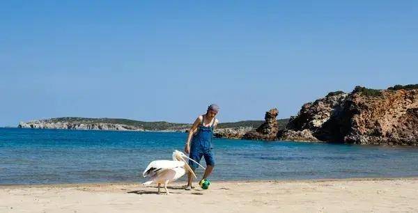 10���������ݵĵ�Ӱ��С���ѵ�Ц����ĺ�����