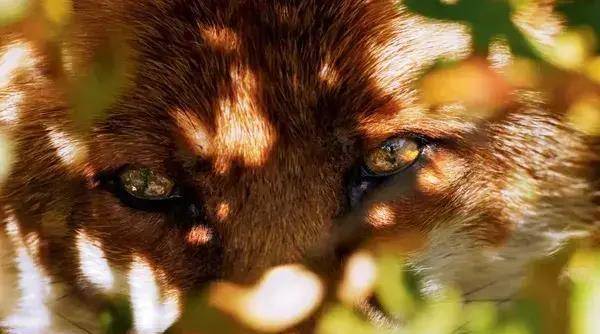 10���������ݵĵ�Ӱ��С���ѵ�Ц����ĺ�����