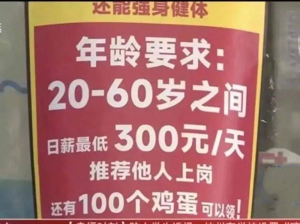 成都供卵哪里可以提供（双十一临近，快递员吃香，月薪9000很难招｜新闻早餐2022.10.25星期二）