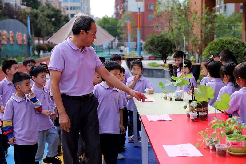 "这是小草莓,这是含羞草,这是波斯菊"近日,天长市城南小学的一