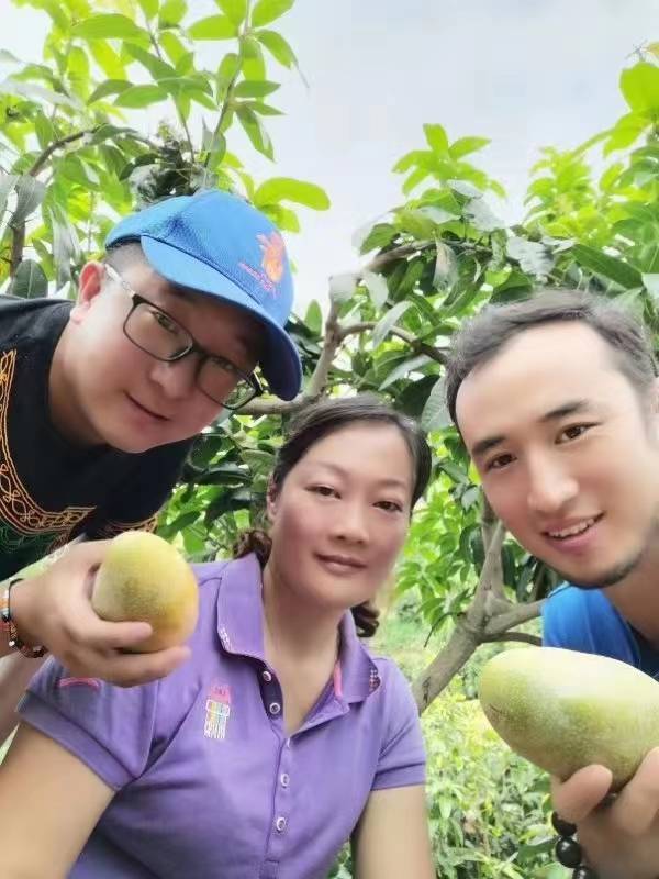 张琴:让攀枝花水果和美食土特产"飘香"大江南北_芒果_旅游_米易县