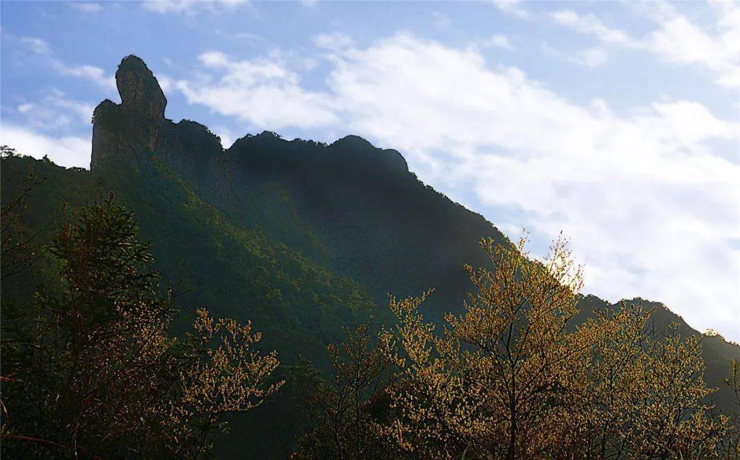 乐清这些古道速速安排上!_雁荡山_山岭_石城