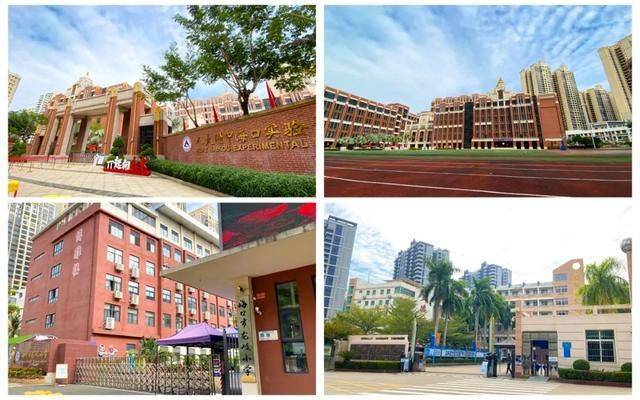 教育方面,有人大附中海口学校(小学部,龙岐小学,市九中,实验中学